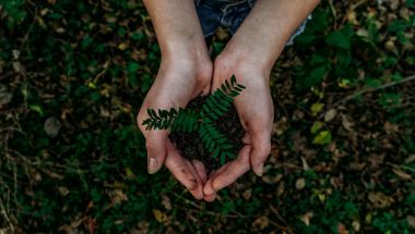 Journee mondiale de l environnement